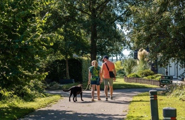 Vakantiehuis huren in Limburg met de hond